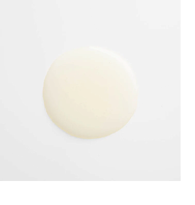 Pasta de Zahar White Icing 1Kg